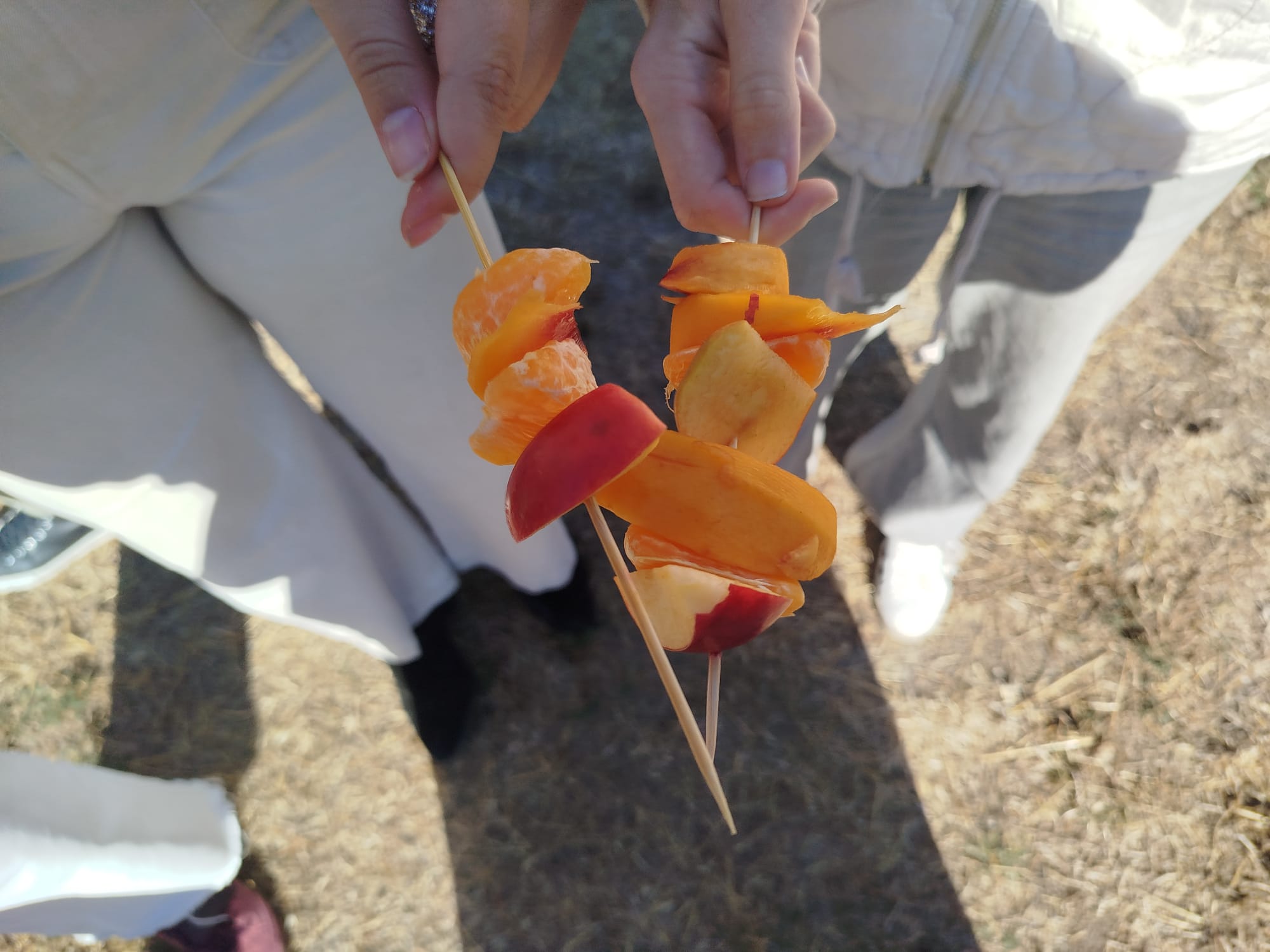 caratula video septiembre 26